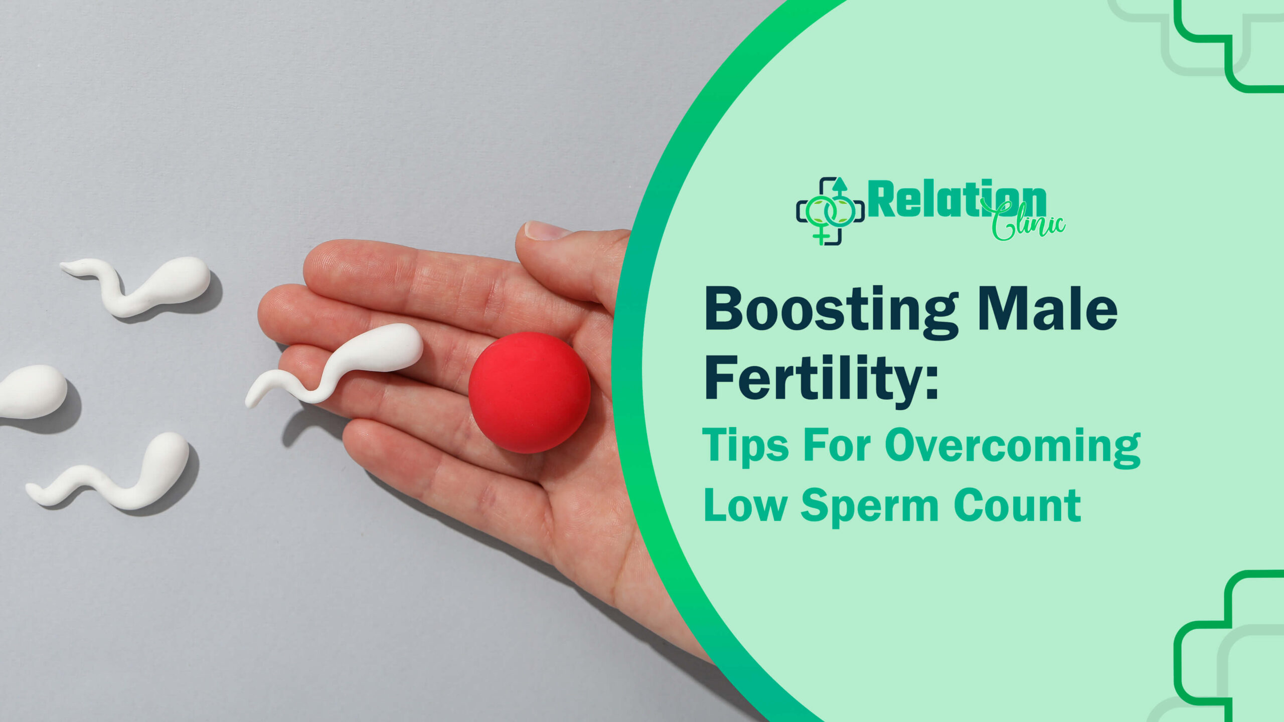 Boosting Male Fertility: Tips For Overcoming Low Sperm Count